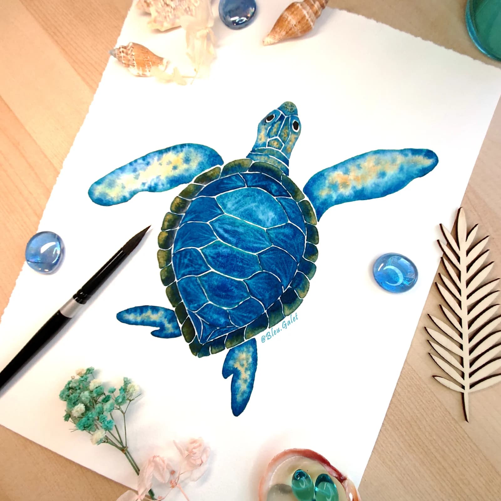 Tortue marine